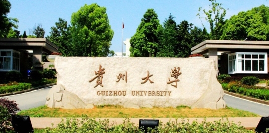 贵州大学是211大学还是985大学